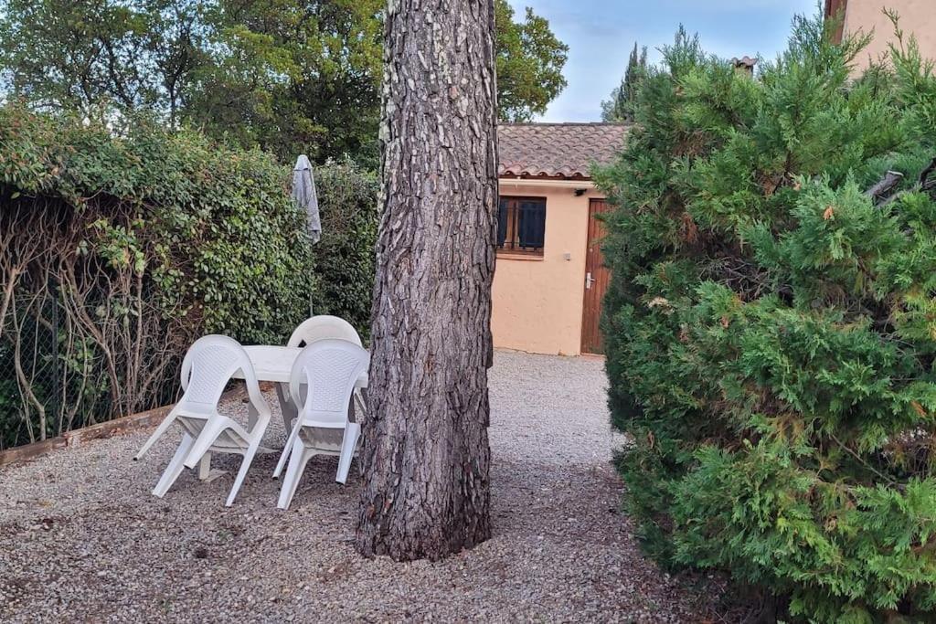 Appartement Dans Une Villa Au Coeur De La Provence Trans-en-Provence Exterior foto