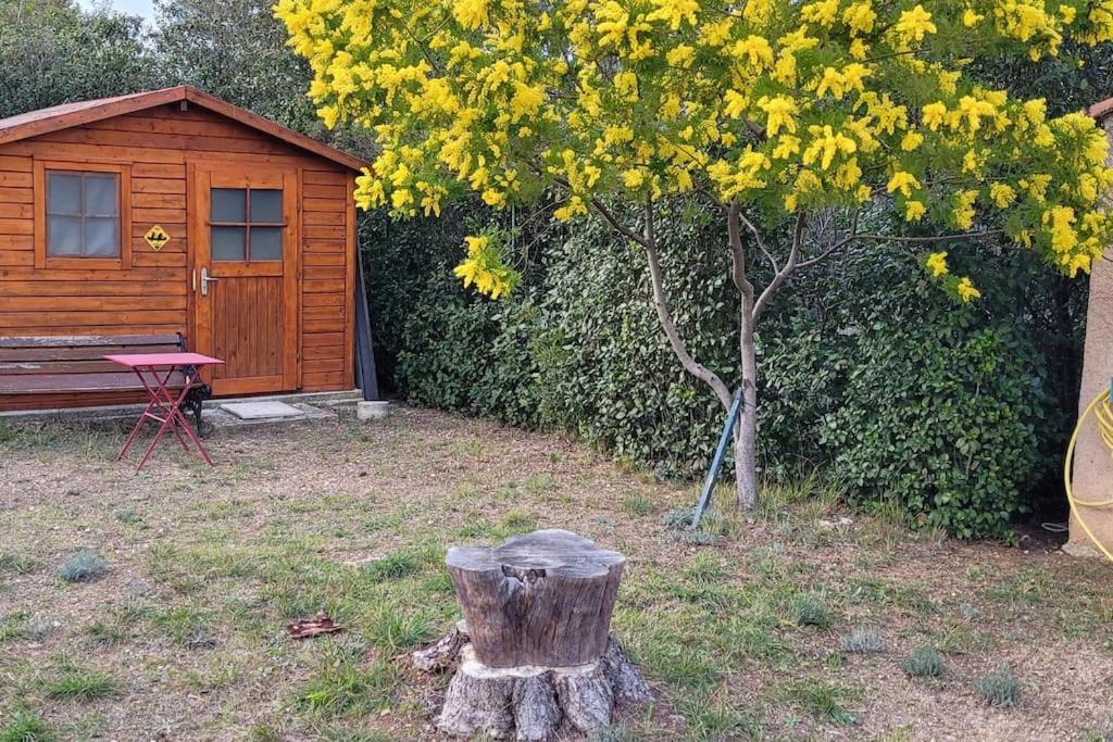 Appartement Dans Une Villa Au Coeur De La Provence Trans-en-Provence Exterior foto